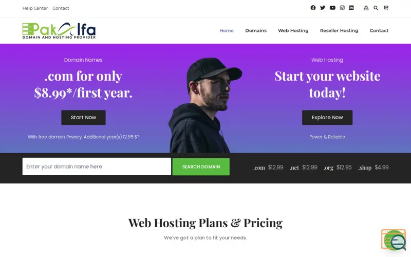 Screenshot of Pakalfa -Domain Names, Websites, Hosting, a launch using All in One SEO