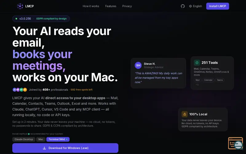 Screenshot of Local MCP, a launch using npm
