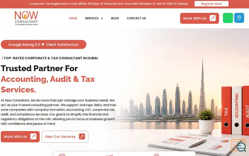 Screenshot of Now Expert Tax Consultant