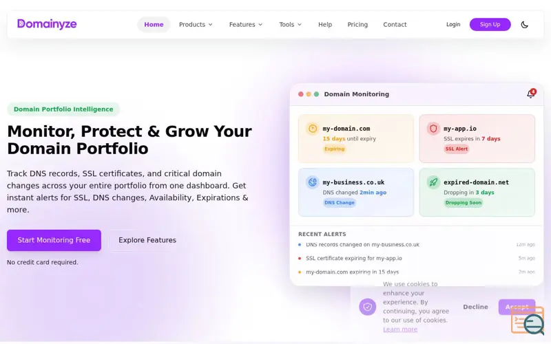 Screenshot of Domainyze, a launch using Premium SMTP