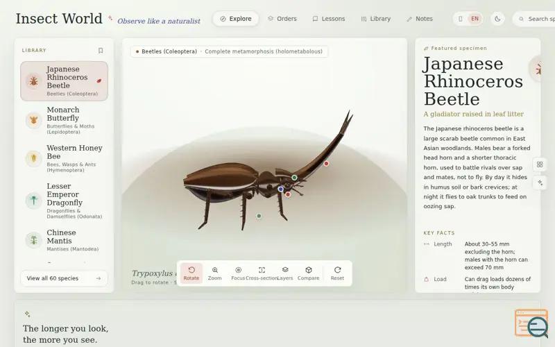 Screenshot of Insect-world