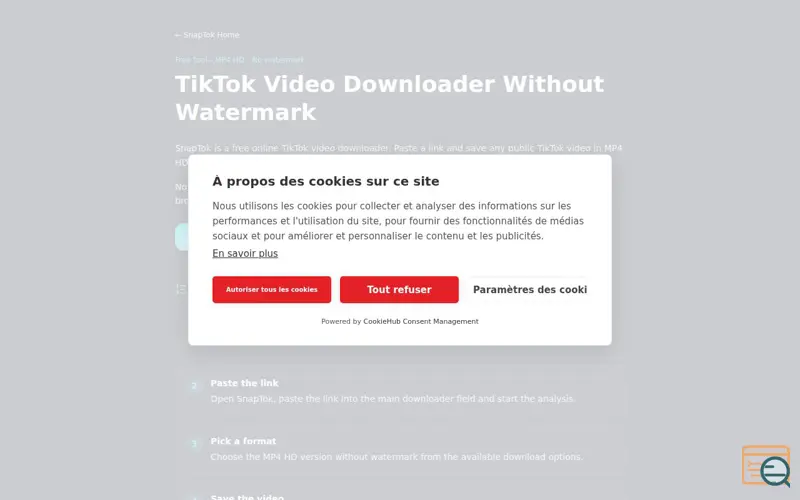 Screenshot of SnapTok