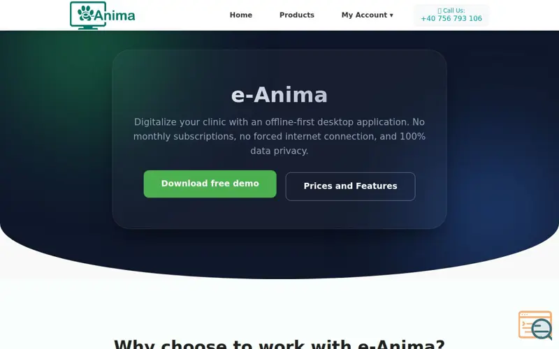 Screenshot of e-Anima Launch