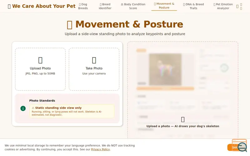Screenshot of See your dog's skeleton from a photo