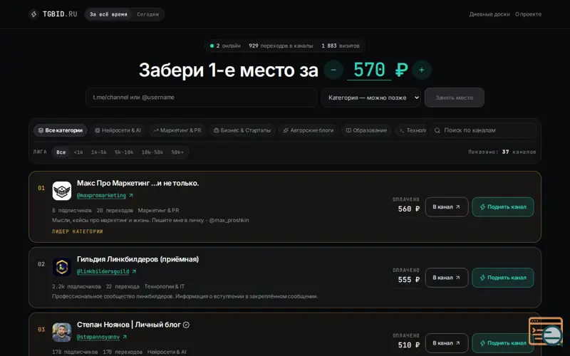 Screenshot of tgbid.ru