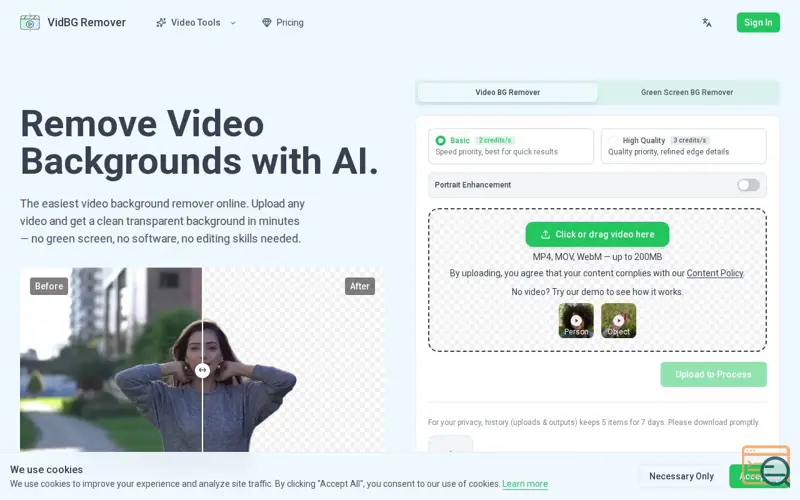 Screenshot of VidBG Remover