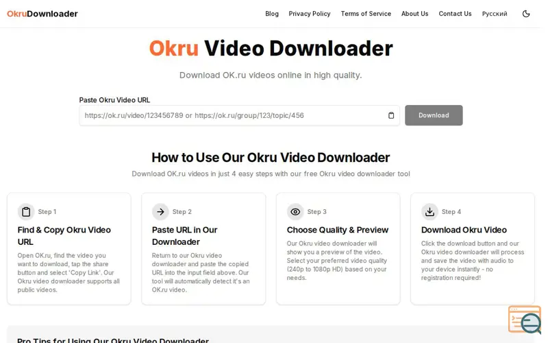 Screenshot of Okru Video Downloader