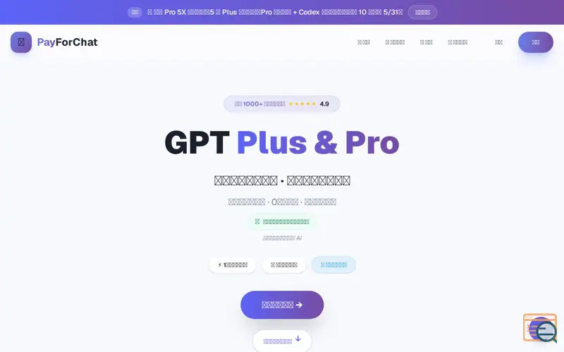 Screenshot of PayForChat