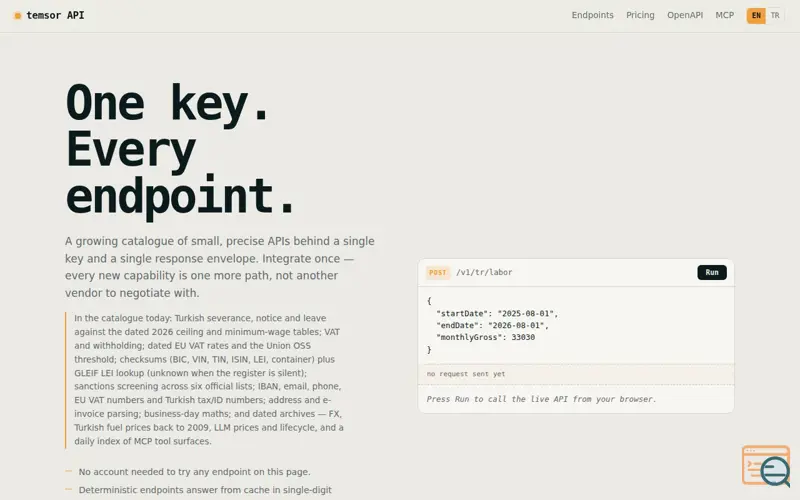 Screenshot of temsor API — one key, every endpoint