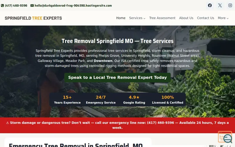Screenshot of treeremovalinspringfield.com
