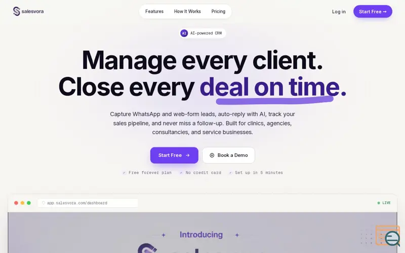 Screenshot of Salesvora 