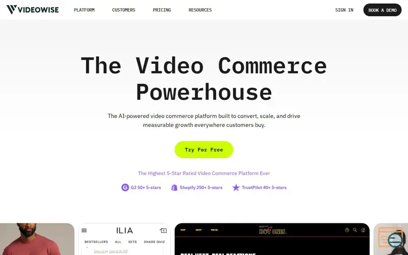 Screenshot of Videowise