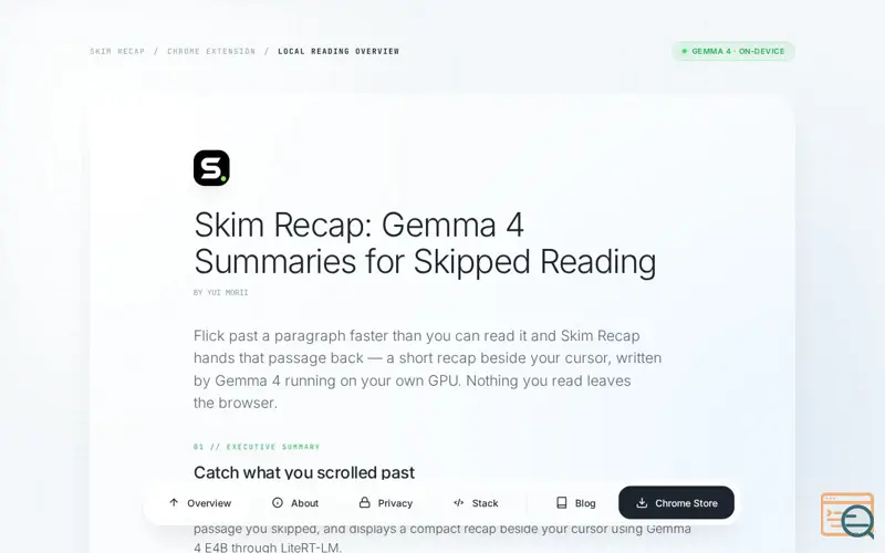 Screenshot of Skim Recap