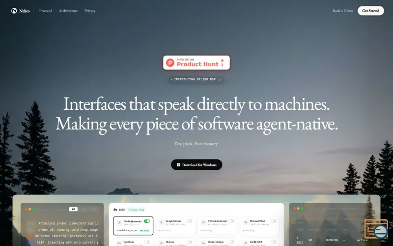 Screenshot of Nelieo NSP