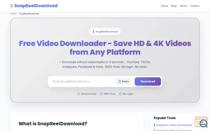 Screenshot of SnapReelDownload