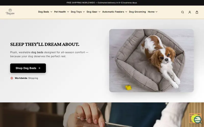 Screenshot of TinPaw