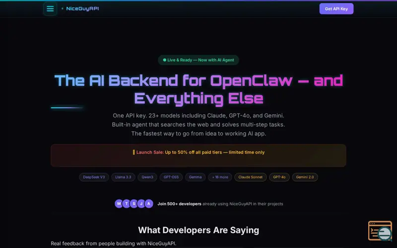 Screenshot of NiceGuyAPI