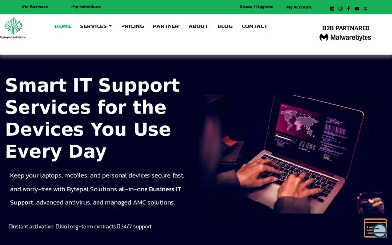 Screenshot of Bytepal Solutions LLC