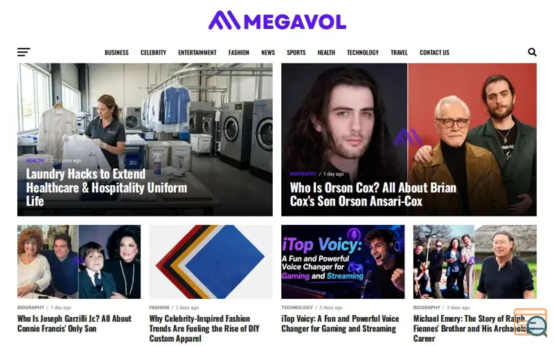 Screenshot of MegaVol