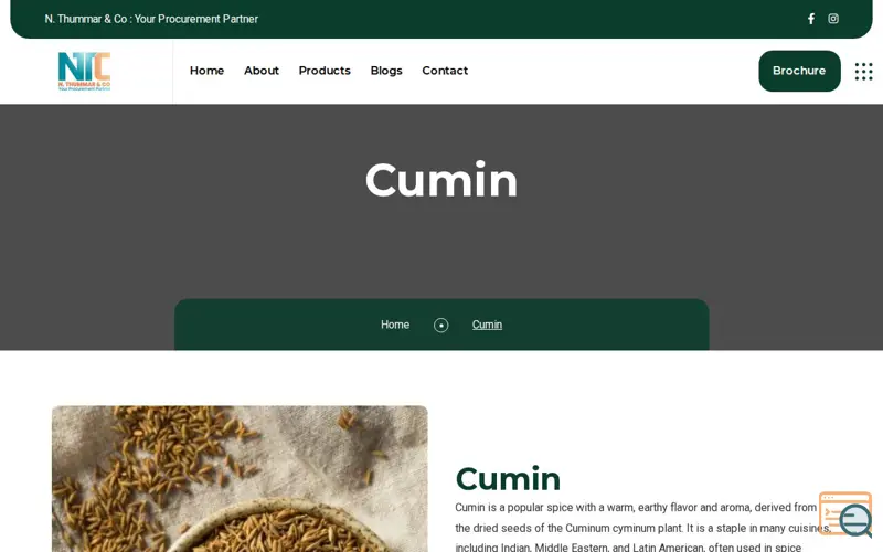Screenshot of N.Thummars & Co