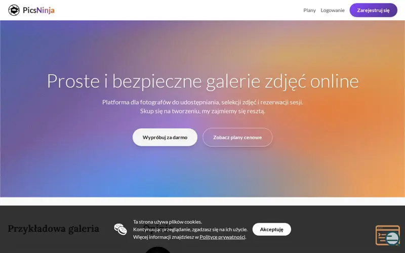 Screenshot of PicsNinja