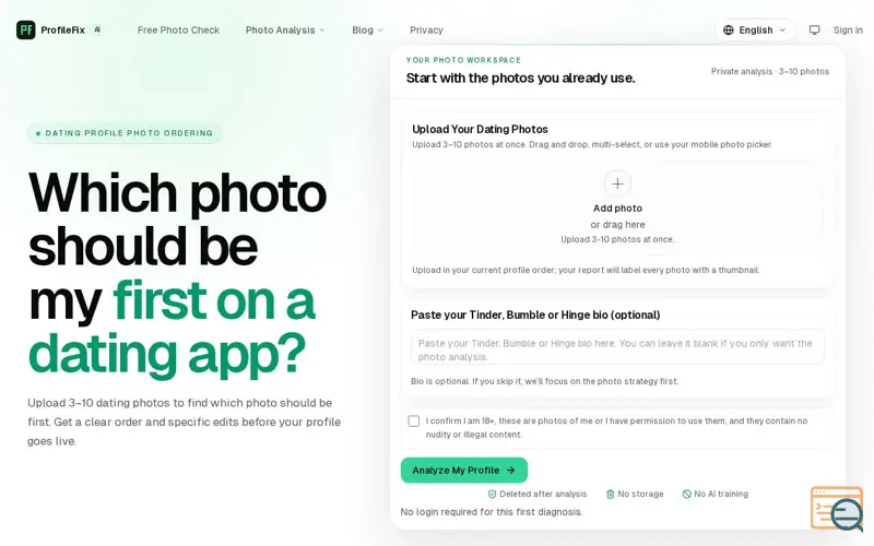 Screenshot of ProfileFix AI