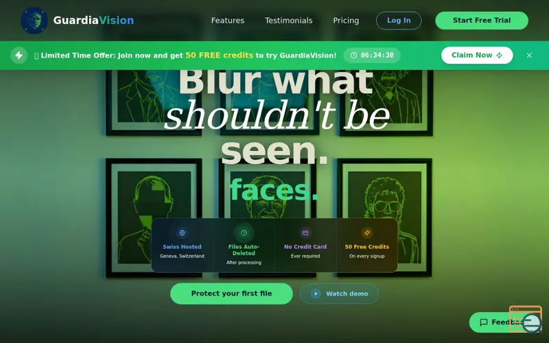 Screenshot of Guardiavision