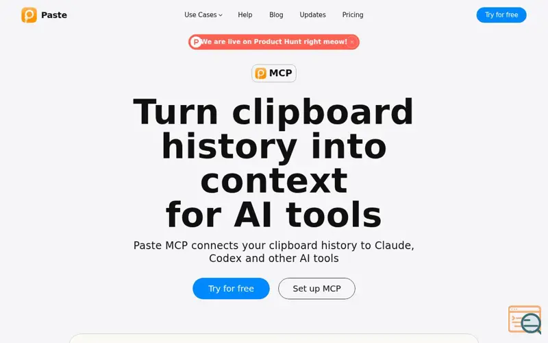 Screenshot of Paste MCP & AI Tools