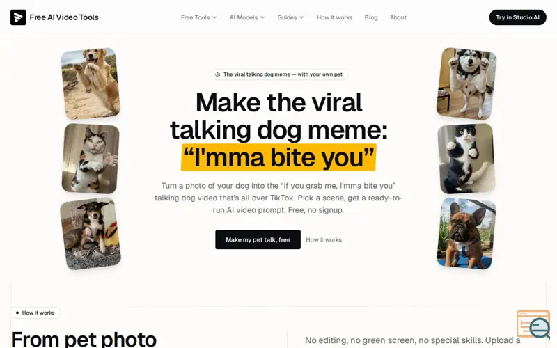 Screenshot of Talking Pet Video Prompt Generator