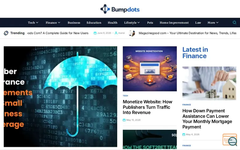 Screenshot of BumpDots Magazine