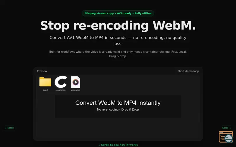 Screenshot of Lossless WebM to MP4 Converter