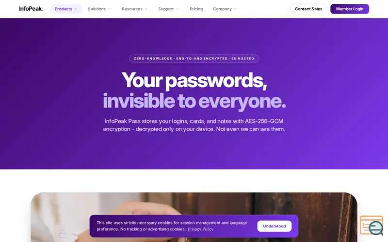 Screenshot of InfoPeak Pass