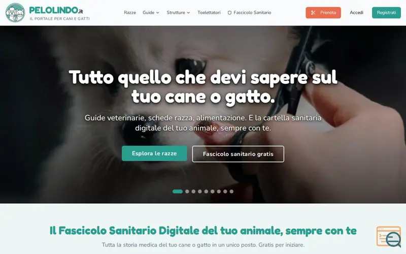 Screenshot of PeloLindo