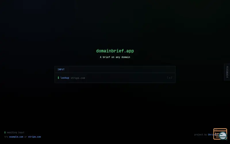 Screenshot of DomainBrief - domain lookup report