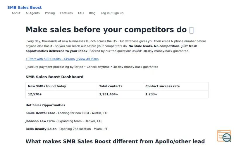 Screenshot of SMB Sales Boost