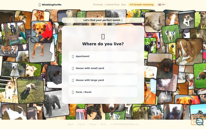 Screenshot of WhatDogForMe