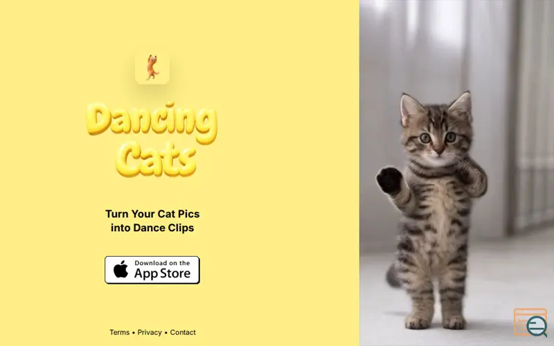 Screenshot of DANCING CATS App