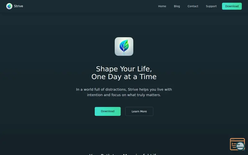 Screenshot of Strive Planner