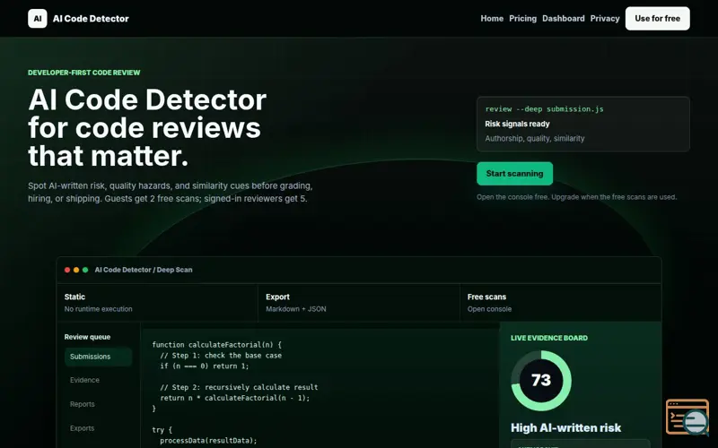 Screenshot of AI Code Detector