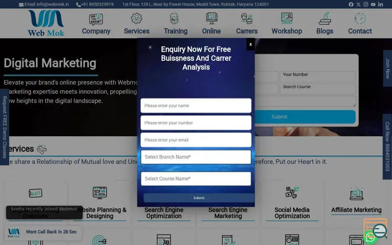 Screenshot of webmok