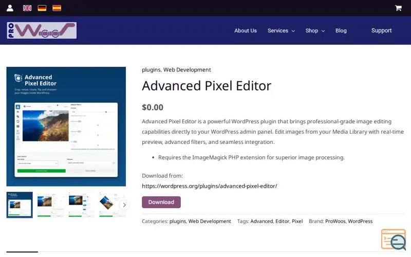 Screenshot of Advanced Pixel Editor for WordPress