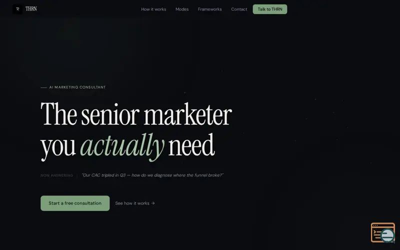 Screenshot of THRN — AI Marketing Consultant | Strategy, Audits & Plans