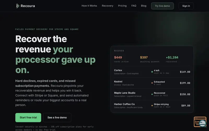 Screenshot of Recoura | Recover the revenue your processor gave up on
