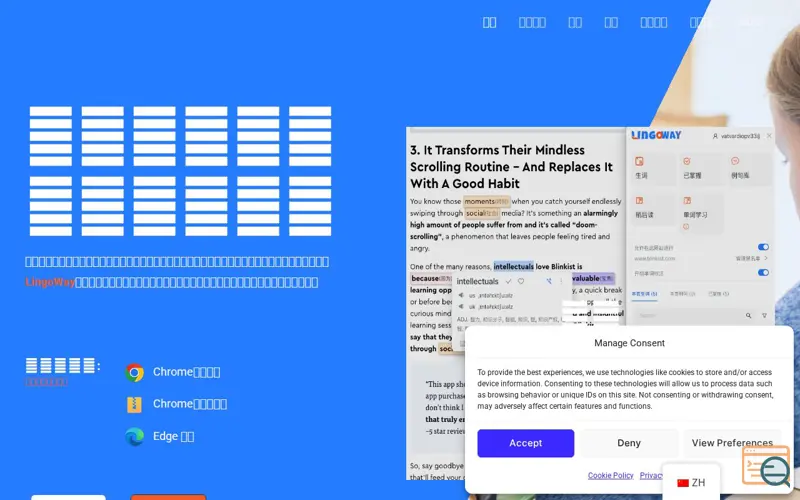 Screenshot of LingoWay, a launch using Nextend Social Login