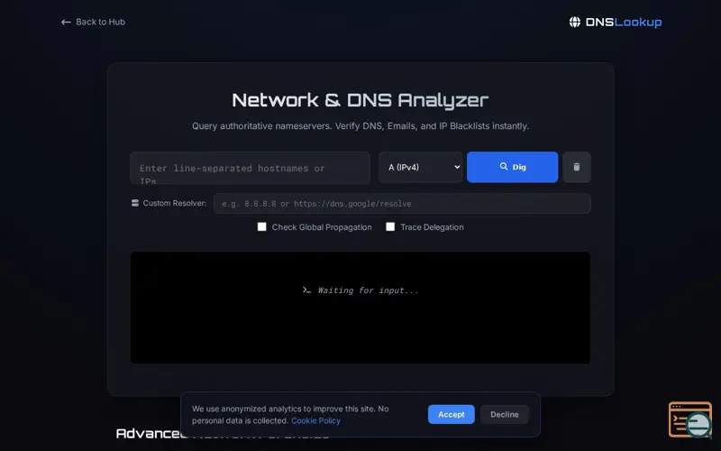 Screenshot of DNS Lookup & Dig Tool