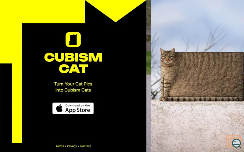 Screenshot of CUBISM CAT app 