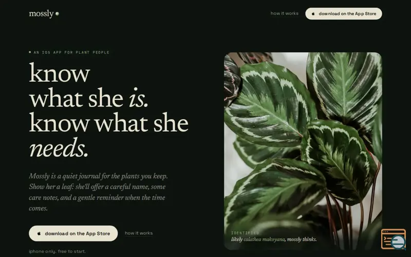 Screenshot of Mossly