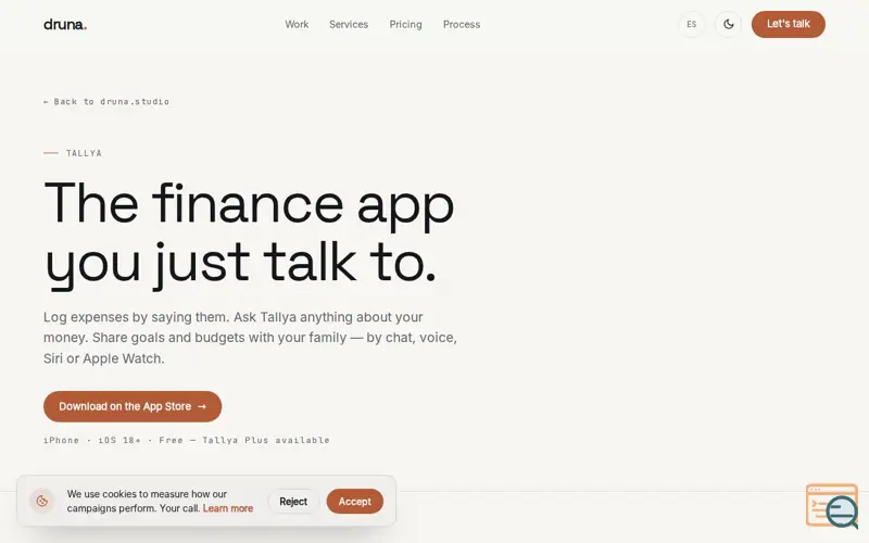 Screenshot of Tallya AI Money and Budget