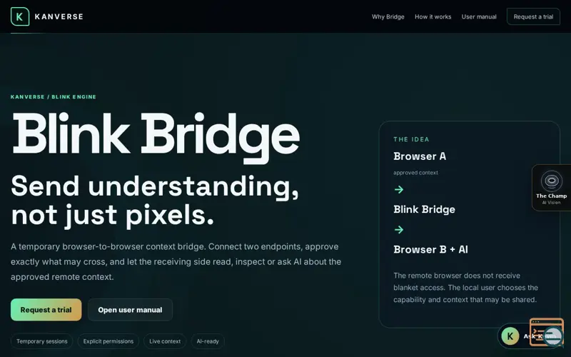 Screenshot of Blink Bridge