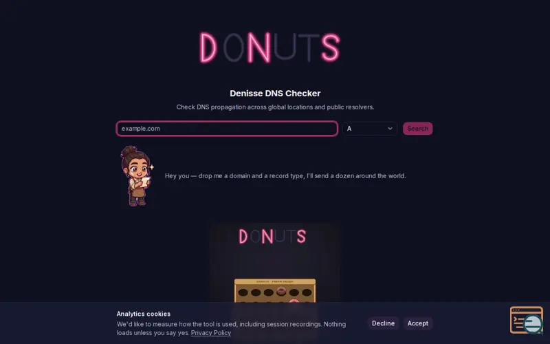 Screenshot of Denisse DNS Checker — Global DNS Propagation Checker